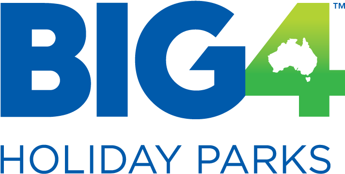 BIG4 Logo